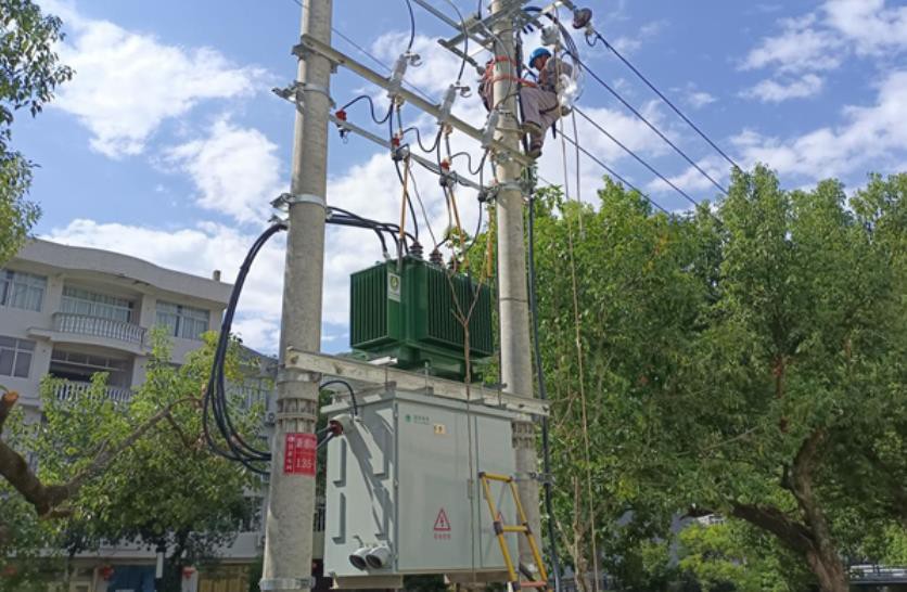 The First Environmentally Friendly Pole Type Transformer