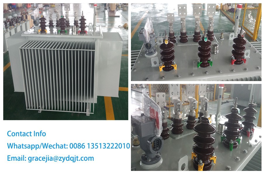 11kv 3 phase pole mounted distribution transformer 5
