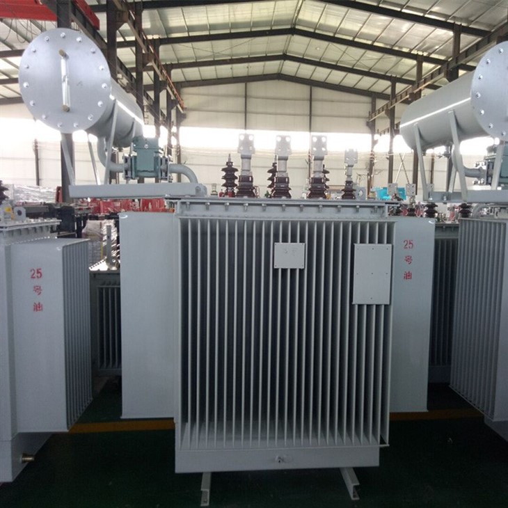 1000 KVA 11kV 433V Oil Type Distribution Transformer